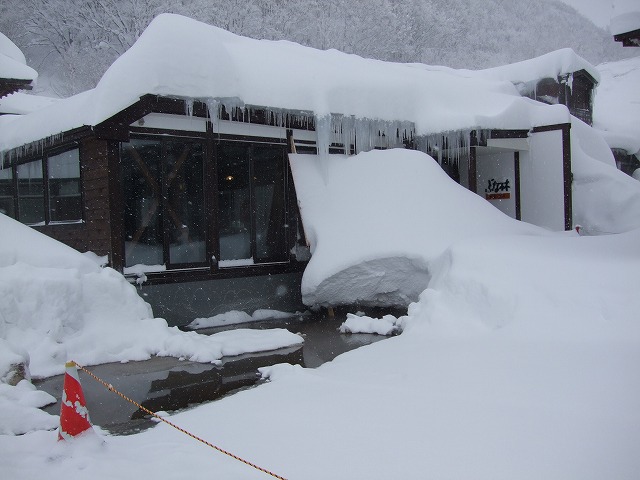 �_�������򗷊�