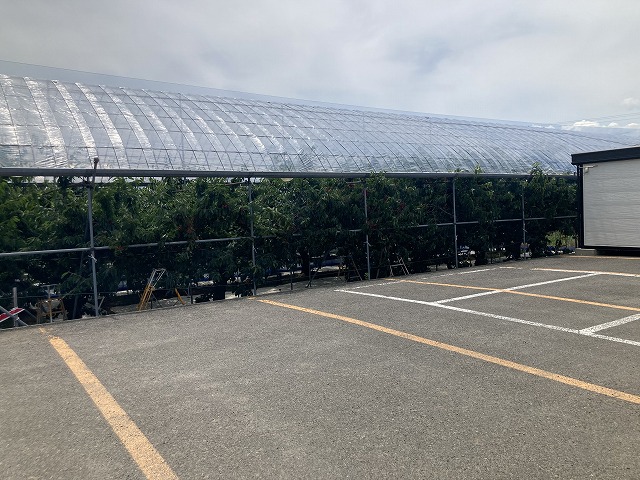 まるせい果樹園