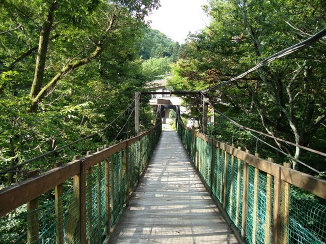 �M�v����