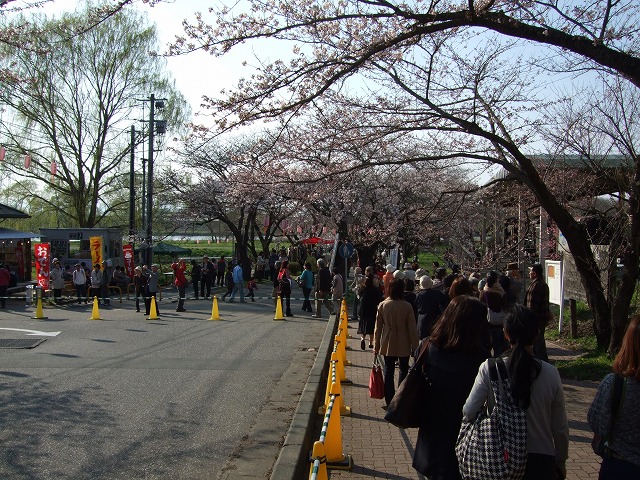 北上市立公園展勝地