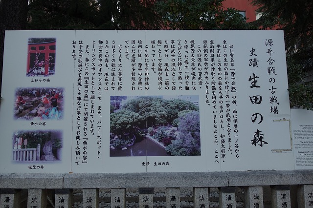 生田神社　生田の森