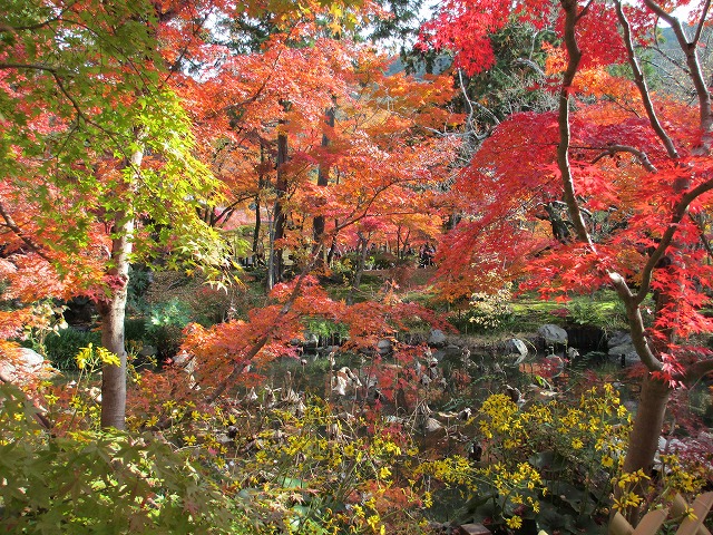 永観堂　禅林寺
