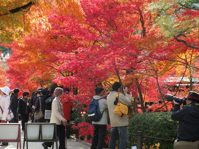 永観堂　禅林寺