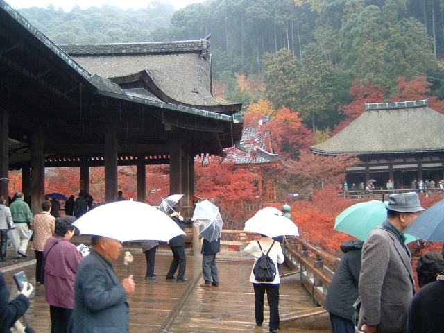 清水寺、清水の舞台
