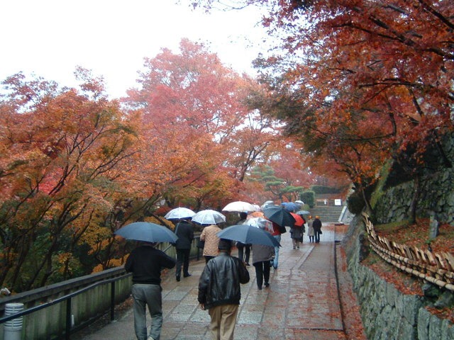 清水寺の紅葉