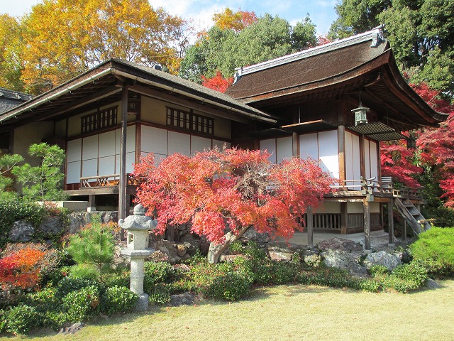 ��͓��R���뉀