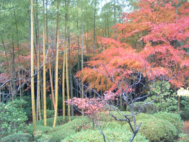 大河内山荘庭園
