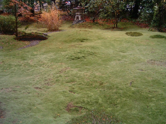 大河内山荘庭園