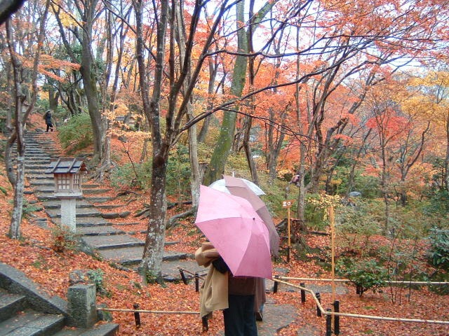 大河内山荘庭園
