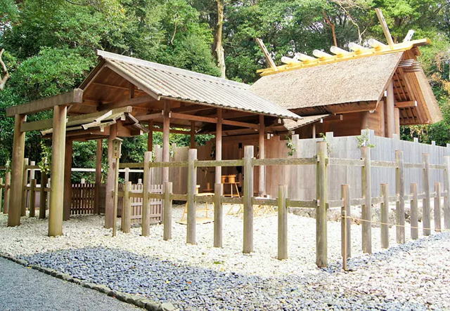 �c��_�{�ʋ{ ��趋{