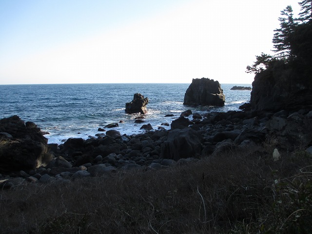 ���c�r���[�z�e��