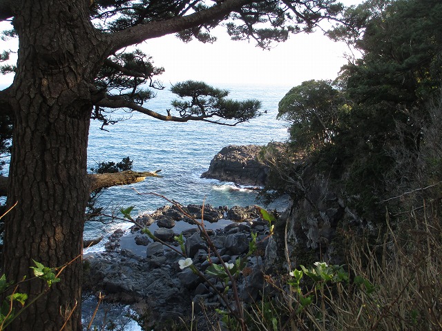 ���c�r���[�z�e��