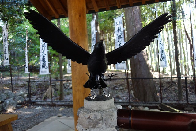 ヤタガラス八咫烏