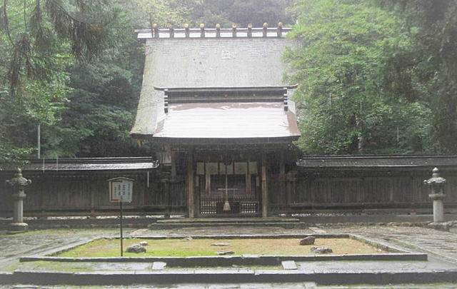 �ዷ�F�_��