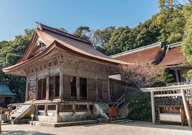 �\�o����{ �C�����