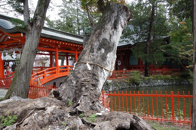 ���������_��