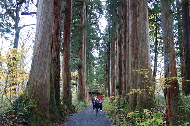 戸隠神社　奥社