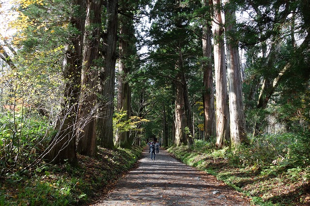 戸隠神社　奥社