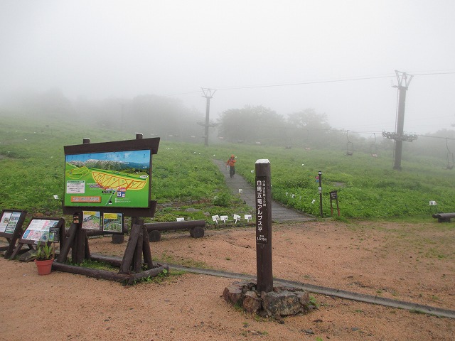 白馬五竜高山植物園