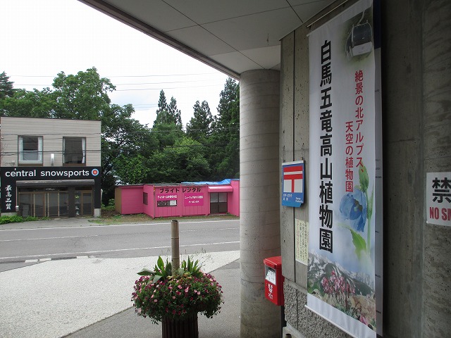 白馬五竜高山植物園