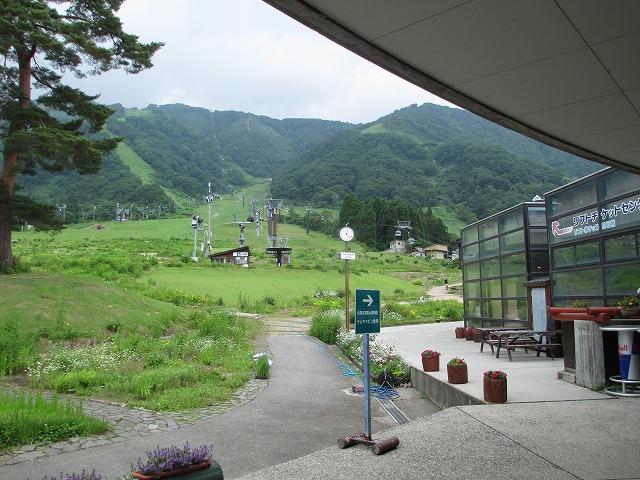白馬五竜高山植物園
