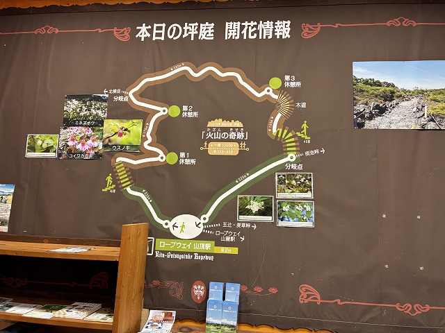 北八ヶ岳ロープウェイ