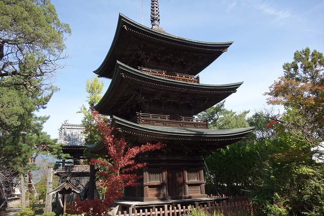 �M�Z������