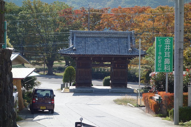 �M�Z������