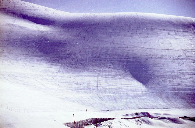 立山黒部アルペンルート