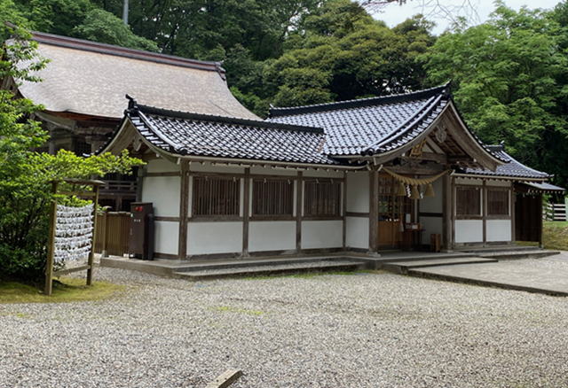 �z������{ �����_��