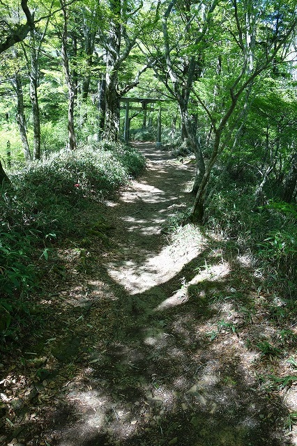 石鎚山　登山道