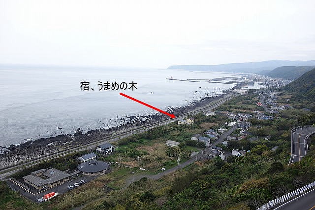 室戸岬の宿 うまめの木