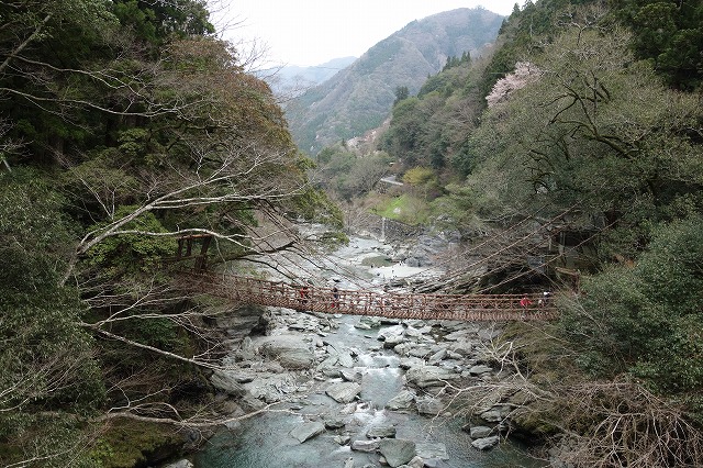 大歩危・祖谷のかずら橋