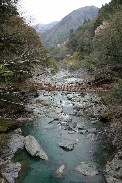 大歩危・祖谷のかずら橋