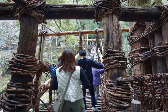大歩危・祖谷のかずら橋