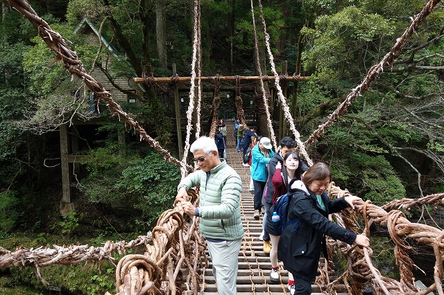 大歩危・祖谷のかずら橋