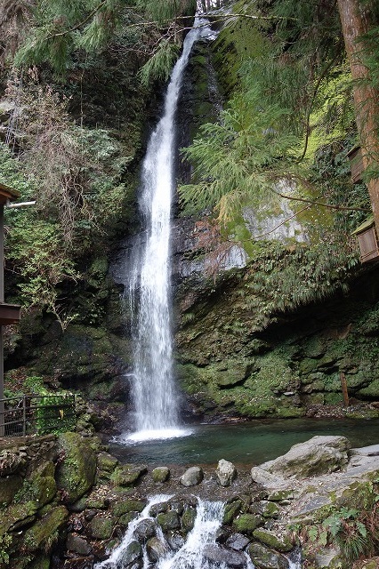 大歩危・祖谷のかずら橋、琵琶の滝