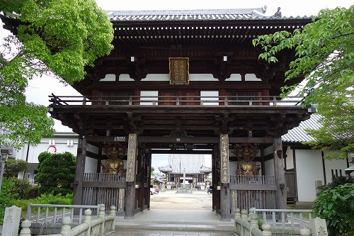 ��55�ԎD�� �ʋ{�R �����@ ����V