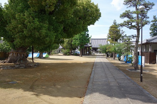 第76番札所 鶏足山 宝幢院 金倉寺