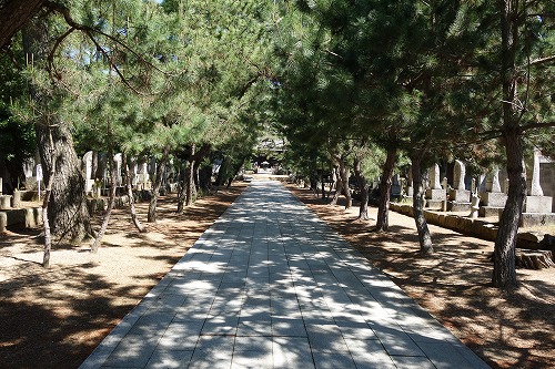 第80番札所 白牛山 千手院 国分寺