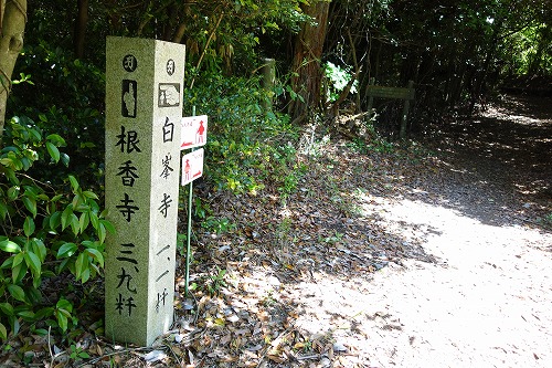 第81番札所 綾松山 洞林院 白峯寺