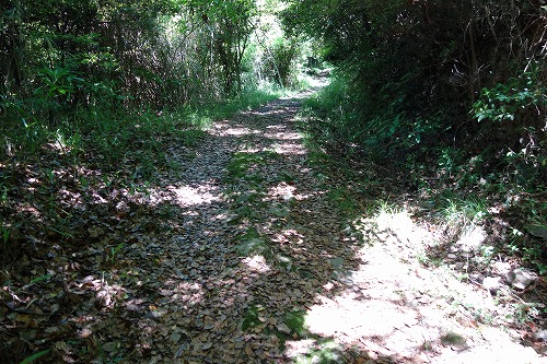 第81番札所 綾松山 洞林院 白峯寺