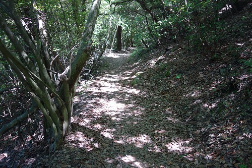 第82番札所 青峰山 千手院 根香寺