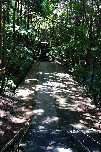 第82番札所 青峰山 千手院 根香寺
