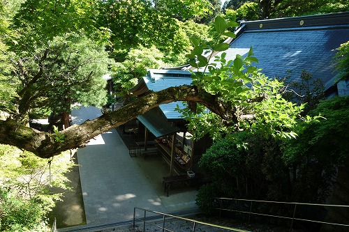 第82番札所 青峰山 千手院 根香寺