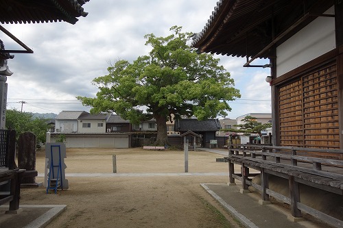 87番　長尾寺