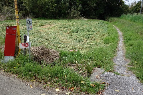 ��27�ԎD�� �|�юR �n���@ �_����