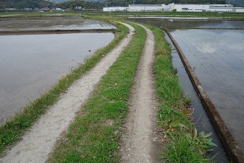 30�ԁ@�P�y��