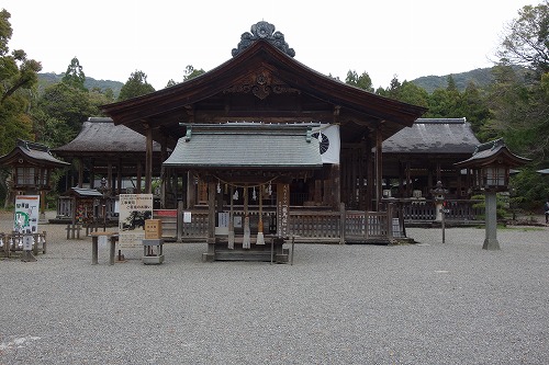 �y���_�� �y������{