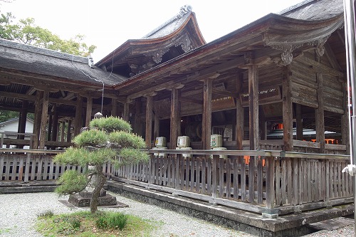 �y���_�� �y������{